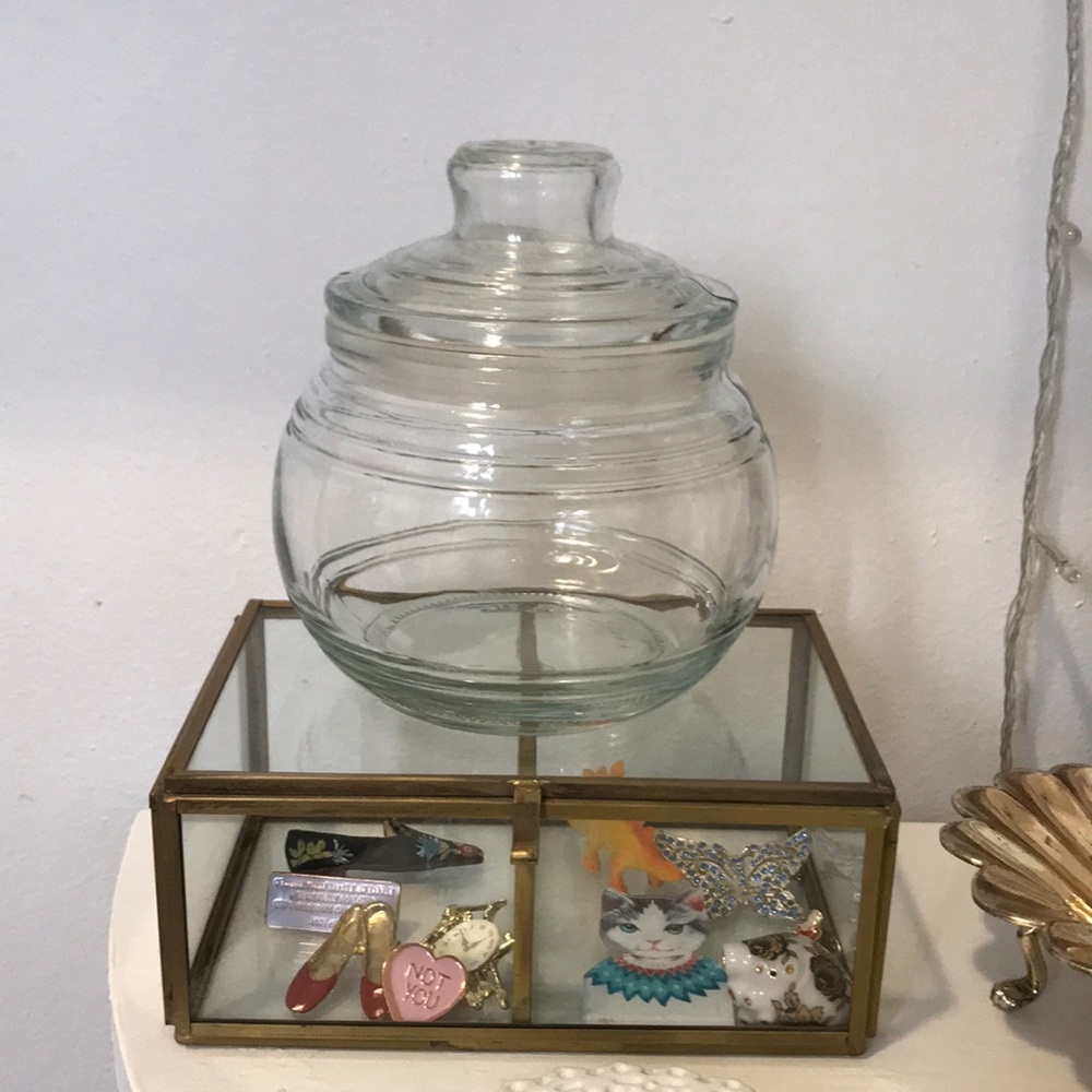 Glass container with removable lid